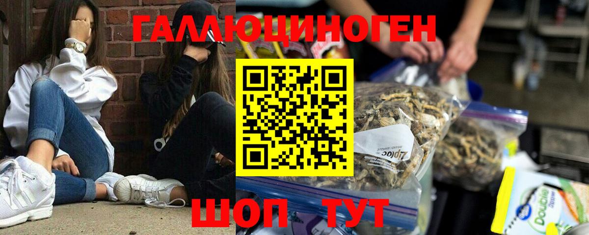 Псилоцибиновые грибы MAGIC MUSHROOMS Котельники