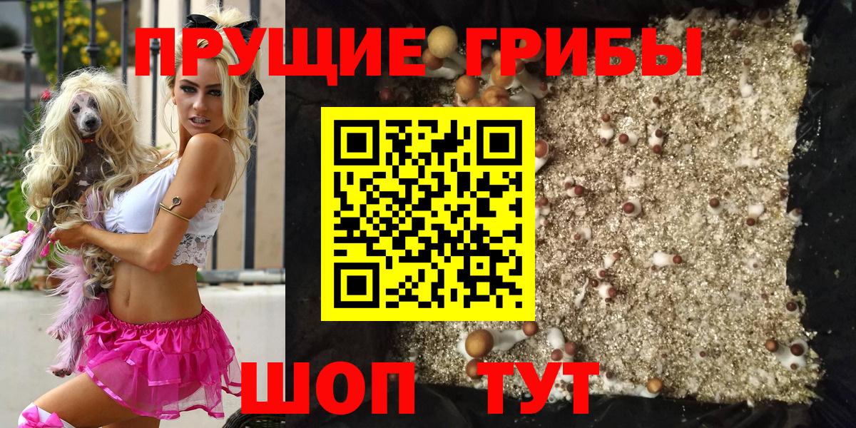 Псилоцибиновые грибы Psilocybe  Псилоцибиновые грибы мухоморы  Котельники  Вход с VPN 